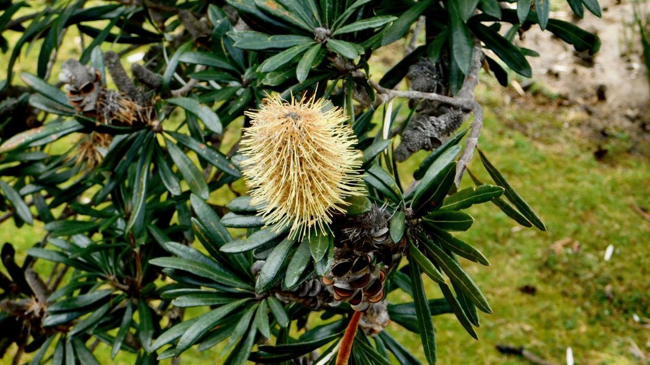 43 Degrees Bruny Island Διαμέρισμα Adventure Bay Εξωτερικό φωτογραφία
